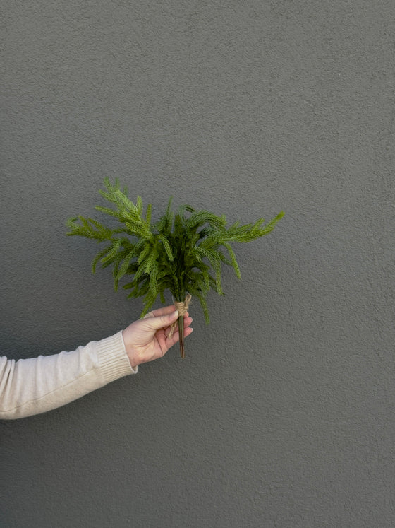 12" Fresh Touch Norfolk Pine Pick