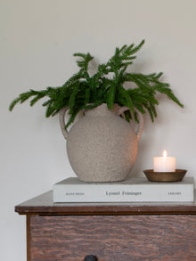  12" Fresh Touch Norfolk Pine Pick