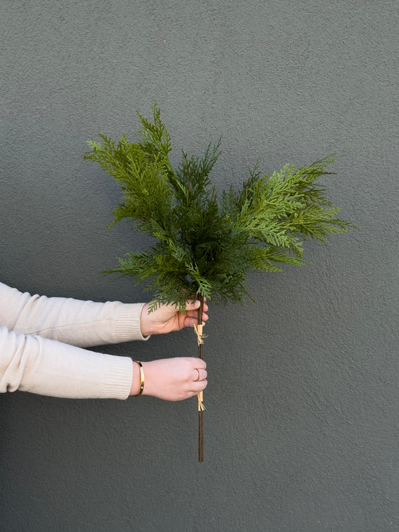 28" Fresh Touch Northern White Cedar Bundle