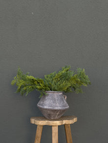  26" Christmas Cedar Spray