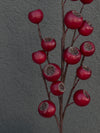 20" Red Berry Spray
