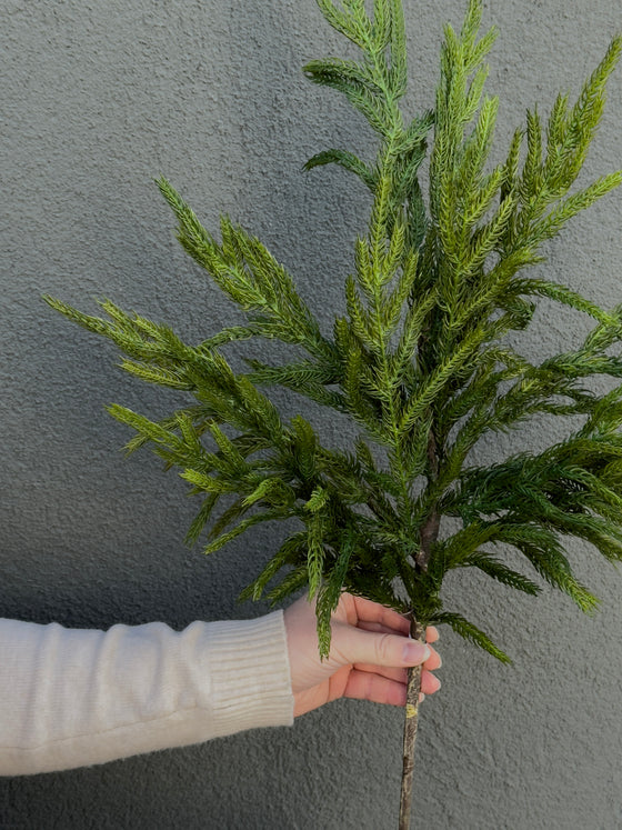 33" Norfolk Pine Spray