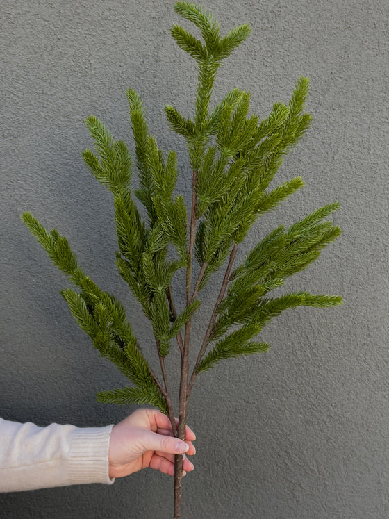 36" Norfolk Pine Branch