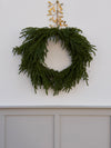 24" Norfolk Pine Wreath