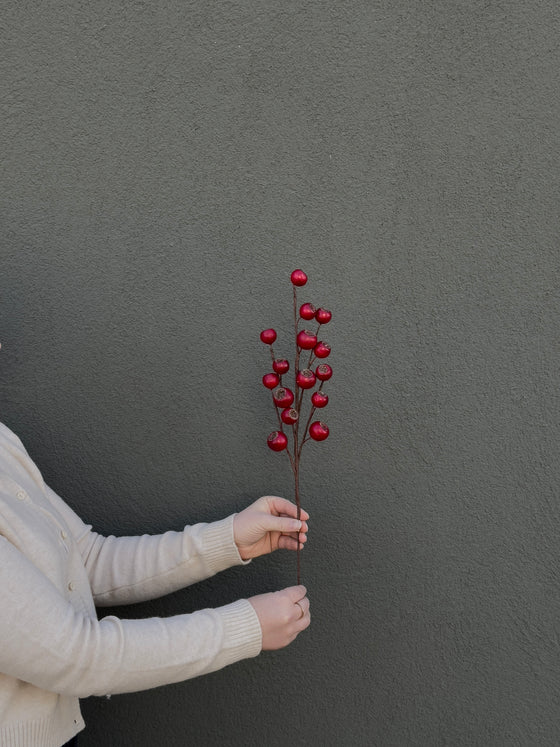 20" Red Berry Spray
