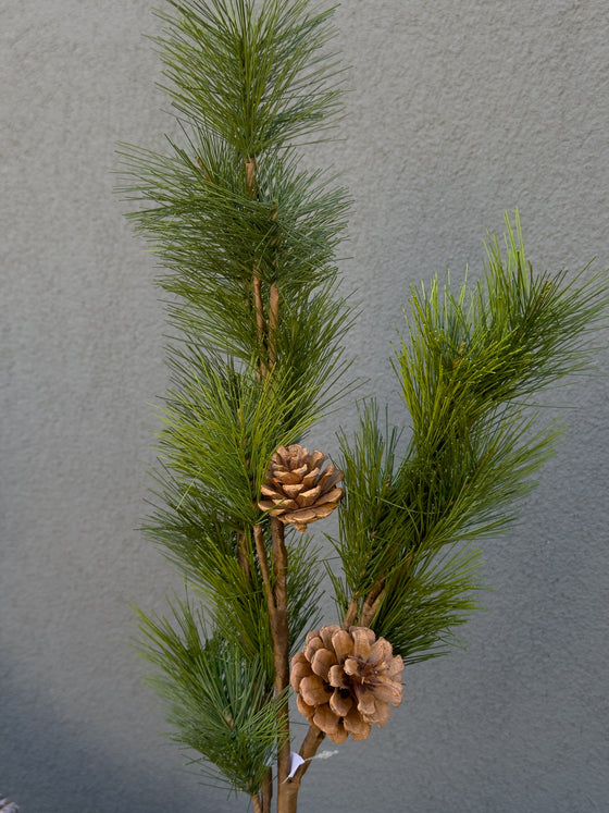 36" Pine and Pinecone Spray