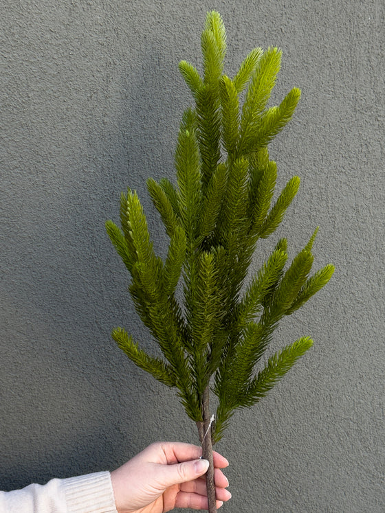 31" Fresh Touch Spruce Branch