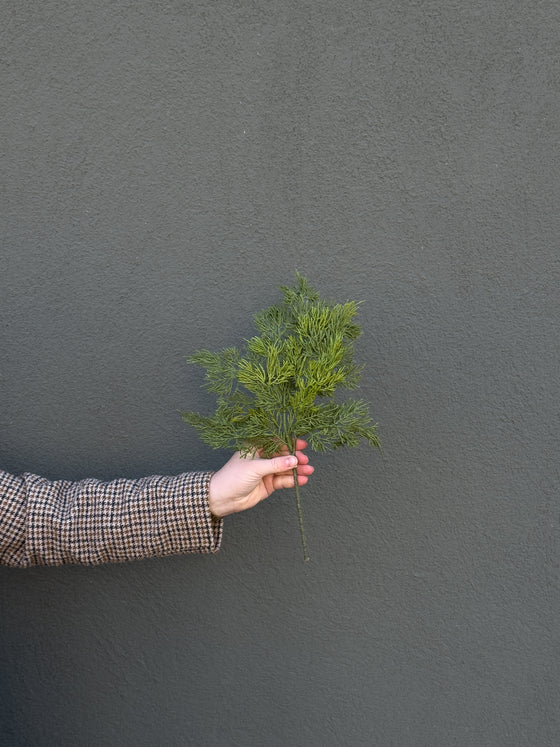 17" Christmas Cedar Spray