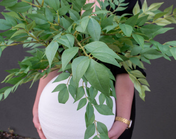 Laurel Leaf Spray