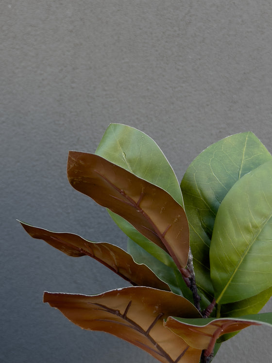 25" Magnolia Leaf Spray