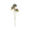 Allium Floral Spray