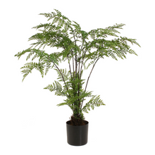  26" Potted Fern
