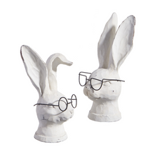  8" Rabbit with Glasses