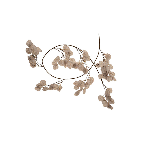 6' Silver Dollar Eucalyptus