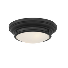  Ferris Flushmount