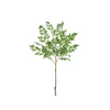 Laurel Leaf Spray