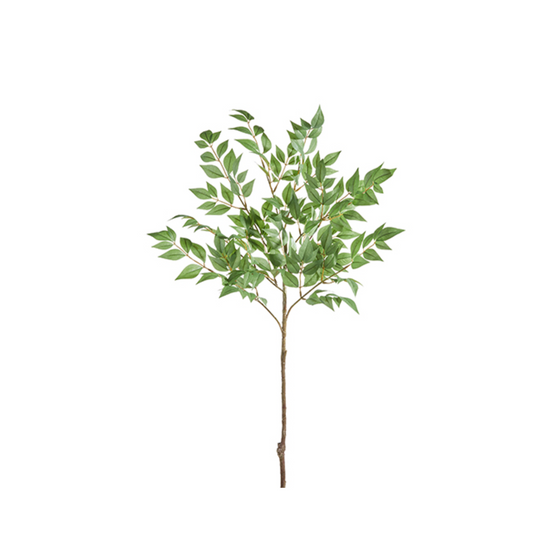 Laurel Leaf Spray