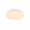 Fundy Flush mount