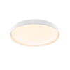 Fundy Flush Mount
