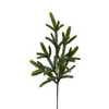 31" Fresh Touch Spruce Branch