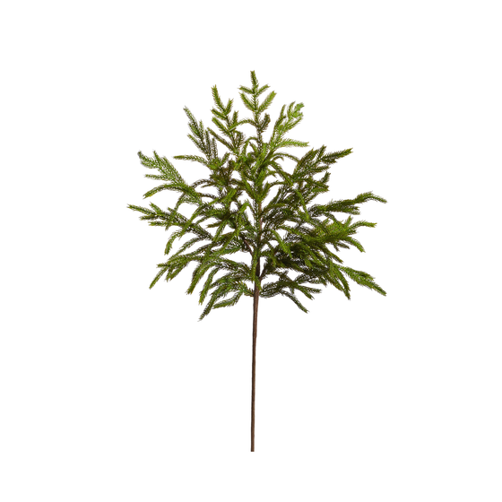 33" Norfolk Pine Spray
