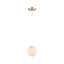  Nikini Small Pendant & Sconce