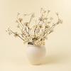 Pear Blossom Branch