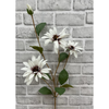 32" White Black-Eye Susan Stem