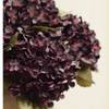 Heirloom Hydrangea Stem - Deep Purple