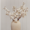 Sweet Pea Stem