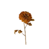 Pompom Dahlia Stem - Brown