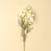 White Cosmos Spray