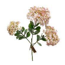  Blooming Sedum Spray - Light Pink