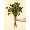 Chestnut Ball Bouquet - Green