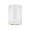 Silo Outdoor Flushmount