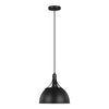 Rockland Pendant
