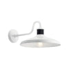 Allenbury Large Sconce