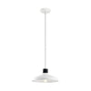 Allenbury Convertible Pendant